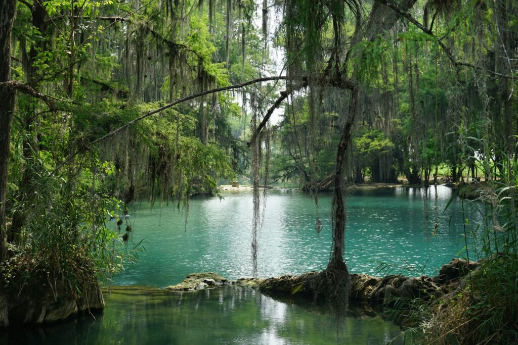 Huasteca potosina